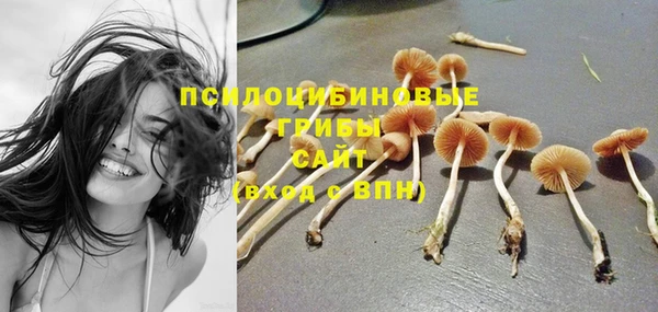 дмт Балахна