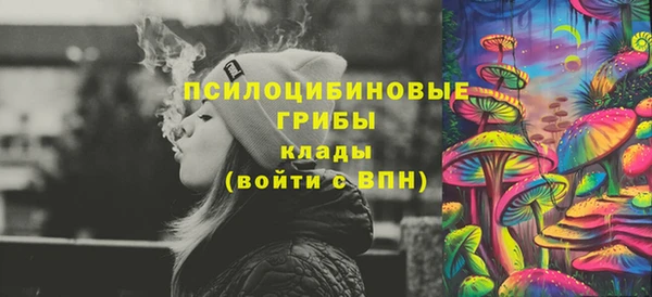 дмт Балахна